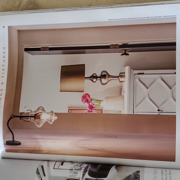 Phoenix Home & Garden Design Guide - Picture 3 of 4